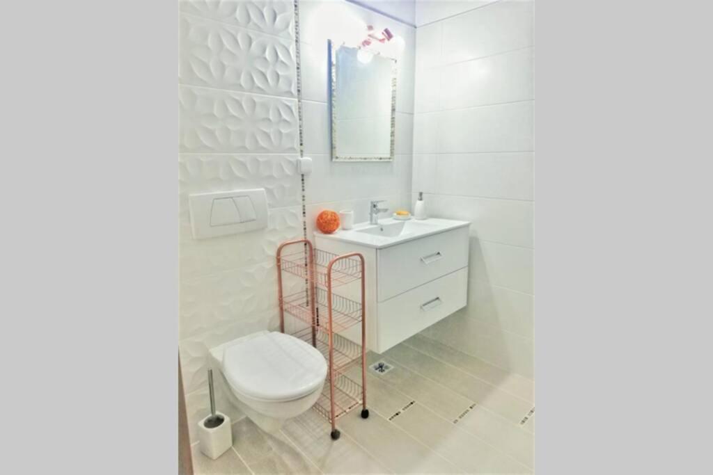 Evening Star Apartment 蒂米什瓦拉 外观 照片
